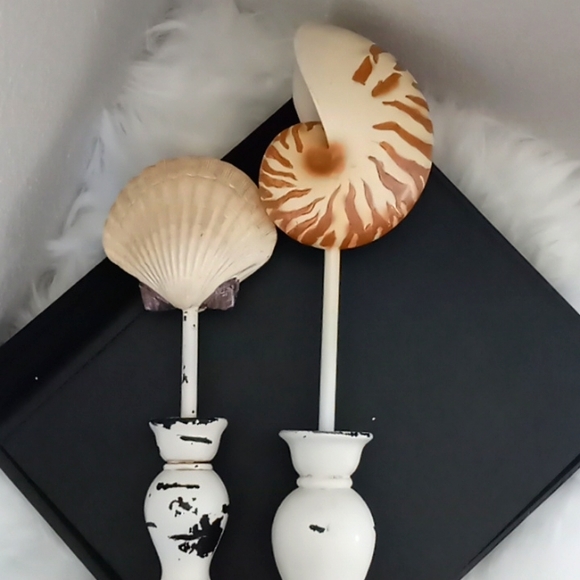 "SHABBY CHIC" Shell Decor - Picture 8 of 12